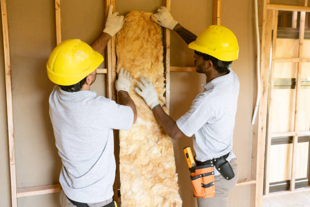 Best Home Insulation Services  in De Smet, SD