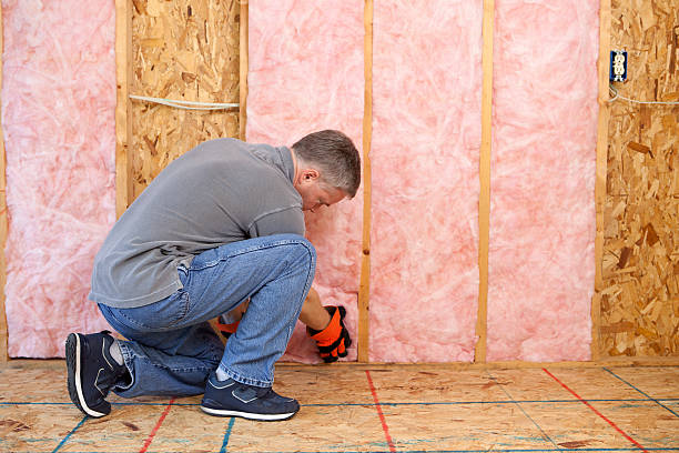 Best Affordable Insulation Services  in De Smet, SD