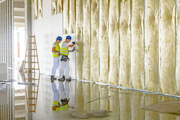 Best Insulation Removal  in De Smet, SD